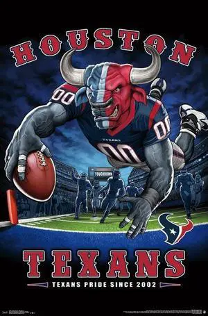 Houston Texans - End Zone Poster Print (22 x 34) Houston Texans - End Zone Poster Print (22 x 34)