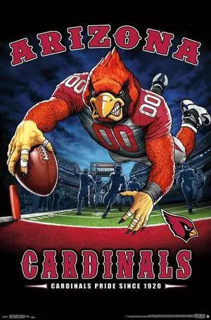 Arizona Cardinals - End Zone Poster Print (22 x 34) Arizona Cardinals - End Zone Poster Print (22 x 34)