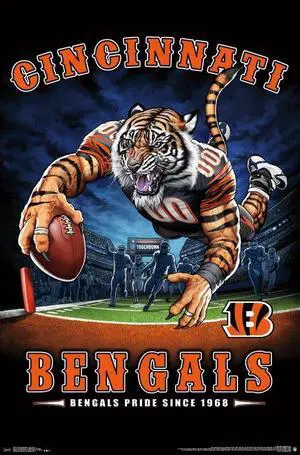 Cincinnati Bengals - End Zone Poster Print (22 x 34) Cincinnati Bengals - End Zone Poster Print (22 x 34)