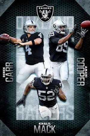 Oakland Raiders - Team 16 Poster Print By (22 x 34) Oakland Raiders - Team 16 Poster Print By (22 x 34)