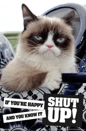 Grumpy Cat - Shut Up Poster Print (22 x 34) Grumpy Cat - Shut Up Poster Print (22 x 34)