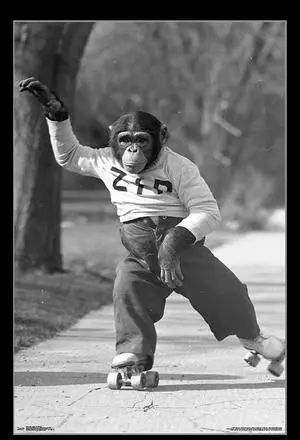 Life - Zippy The Monkey Poster Print (22 x 34) Life - Zippy The Monkey Poster Print (22 x 34)