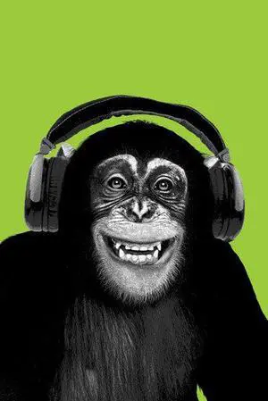 Chimpanzee Headphones Poster Print (22 x 34) Chimpanzee Headphones Poster Print (22 x 34)