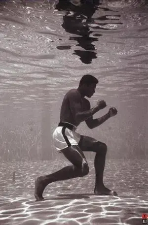 Ali - Underwater Poster Print (24 X 36) Ali - Underwater Poster Print (24 X 36)