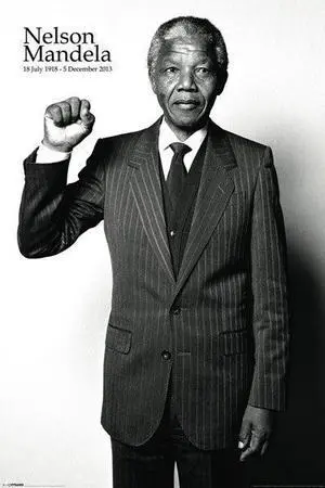 Nelson Mandela - Salute Poster Print (22 x 34) Nelson Mandela - Salute Poster Print (22 x 34)
