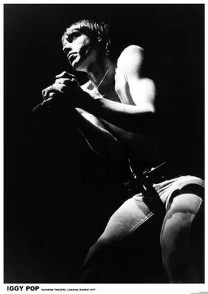 Iggy Pop Live Poster (24 x 36) Iggy Pop Live Poster (24 x 36)