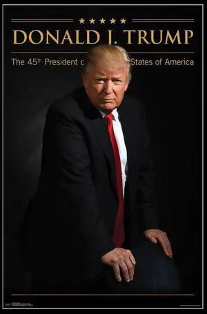 Donald Trump Poster Print (22 x 34) Donald Trump Poster Print (22 x 34)