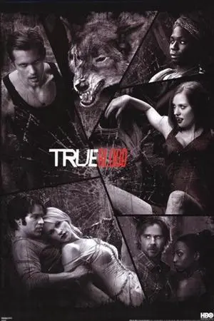 True Blood - Shattered Mirror Poster Print (22 x 34) True Blood - Shattered Mirror Poster Print (22 x 34)