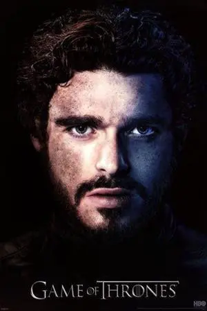 Game of Thrones - Season 3 - Robb Stark Poster Print (22 x 34) Game of Thrones - Season 3 - Robb Stark Poster Print (22 x 34)
