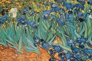 Irises, Saint-Remy, c.1889 - Vincent Van Gogh Poster Print (34 x 22) Irises, Saint-Remy, c.1889 - Vincent Van Gogh Poster Print (34 x 22)