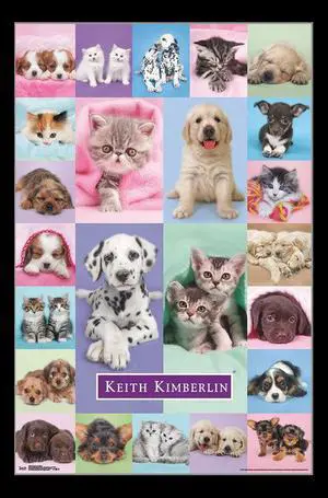 Puppies & Kittens Poster Print (22 x 34) Puppies & Kittens Poster Print (22 x 34)