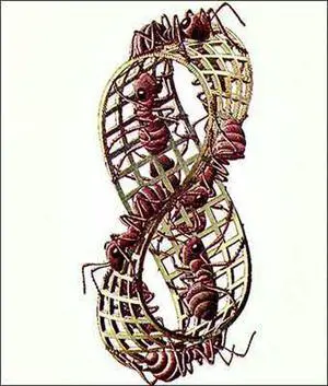 Mobius Strip Poster Print by M.C. Escher (22 x 26) Mobius Strip Poster Print by M.C. Escher (22 x 26)