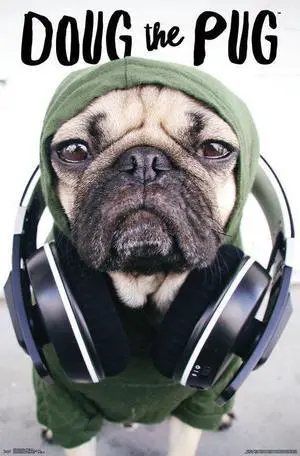 Dug The Pug - Headphones Poster Print (22 x 34) Dug The Pug - Headphones Poster Print (22 x 34)