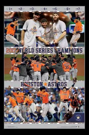 2017 World Series_ - Celebration Poster Print (22 x 34) 2017 World Series_ - Celebration Poster Print (22 x 34)