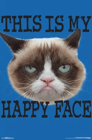 Grumpy Cat - Face Poster Print (22 x 34) Grumpy Cat - Face Poster Print (22 x 34)