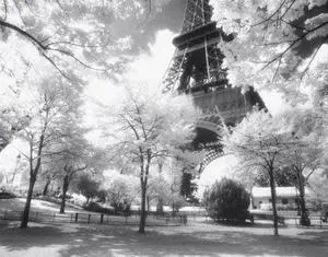 Afternoon in Paris Poster Print (14 x 11) Afternoon in Paris Poster Print (14 x 11)
