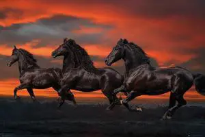 Bob Langrish Fantasy Horses Poster Print (22 x 34) Bob Langrish Fantasy Horses Poster Print (22 x 34)