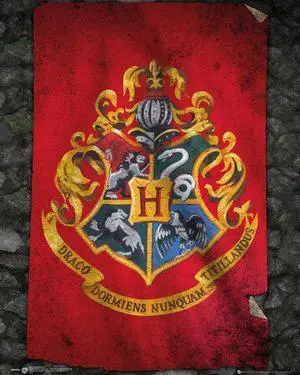 Harry Potter Hogwarts Flag Poster Print (16 x 20) Harry Potter Hogwarts Flag Poster Print (16 x 20)