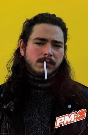 Post Malone - Smoke Poster Print (22 x 34) Post Malone - Smoke Poster Print (22 x 34)