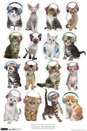 Kitten - Headphones Poster Print (24 x 36) Kitten - Headphones Poster Print (24 x 36)