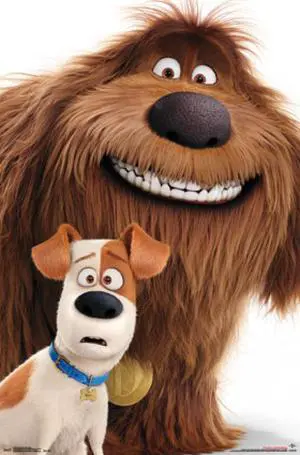 Secret Life of Pets - Duo Poster Print (22 x 34) Secret Life of Pets - Duo Poster Print (22 x 34)