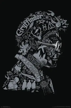 Harry Potter - Graphic Potter Poster Print (22 x 34) Harry Potter - Graphic Potter Poster Print (22 x 34)
