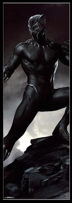 Door - Black Panther Poster Print (22 x 34) Door - Black Panther Poster Print (22 x 34)