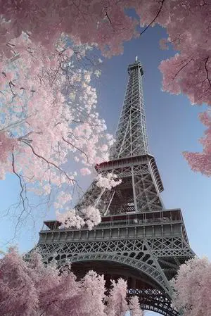 Eiffel Tower Infrared - Paris Poster Print (24 x 36) Eiffel Tower Infrared - Paris Poster Print (24 x 36)