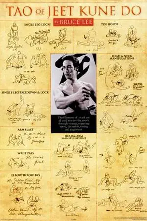Bruce Lee - Tao of Jeet Kune Do Poster (24 x 36) Bruce Lee - Tao of Jeet Kune Do Poster (24 x 36)