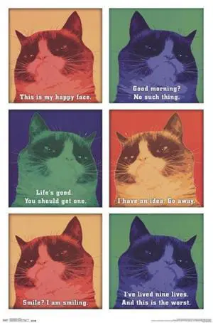 Grumpy Cat - Cattitude Poster Print (24 x 36) Grumpy Cat - Cattitude Poster Print (24 x 36)