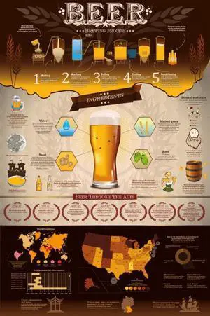 Beer Brewing Process Poster Print (22 x 34) Beer Brewing Process Poster Print (22 x 34)