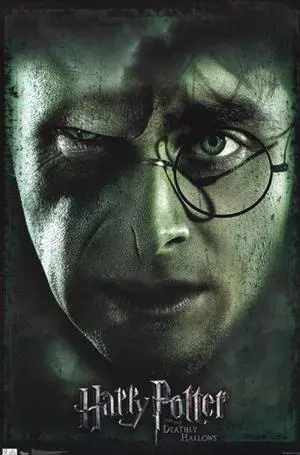 Harry Potter and the Deathly Hallows Part 2 - Harry/Voldemort Poster Print (24 x 36) Harry Potter and the Deathly Hallows Part 2 - Harry/Voldemort Poster Print (24 x 36)