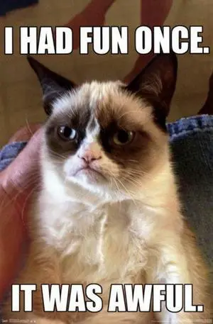 Grumpy Cat - Fun Meme Poster Print (22 x 34) Grumpy Cat - Fun Meme Poster Print (22 x 34)