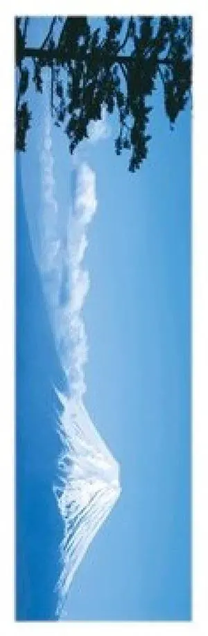 Mount Fuji Japan, Poster Print (12 x 36) Mount Fuji Japan, Poster Print (12 x 36)