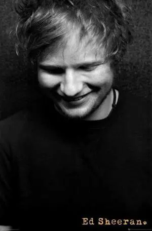 Ed Sheeran - Profile Poster Print (24 x 36) Ed Sheeran - Profile Poster Print (24 x 36)