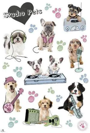 Studio Pets Dogs Instruments Hfe Poster (24 x 36) Studio Pets Dogs Instruments Hfe Poster (24 x 36)