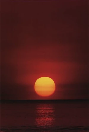 Stunning Sunset Poster Print - Vibrant Colors for Your Space Stunning Sunset Poster Print - Vibrant Colors for Your Space