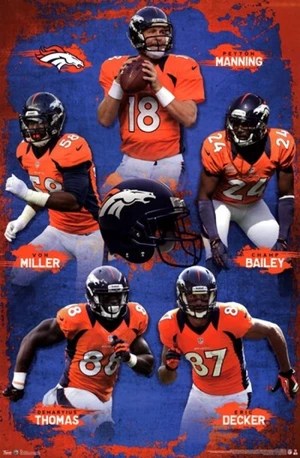 Denver Broncos 2012 Team Poster Print (24x36)