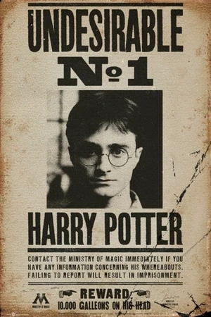 Harry Potter - Undesirable No 1 Wanted Poster Print (24x36)