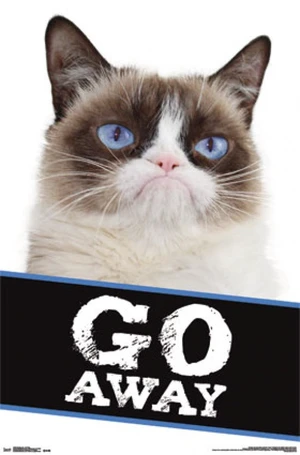 Grumpy Cat - Go Away Poster Print Grumpy Cat - Go Away Poster Print