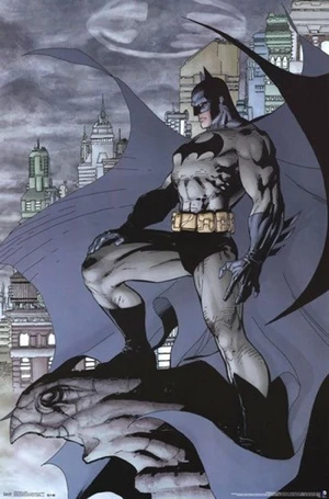 Batman Cape Poster Print Batman Cape Poster Print