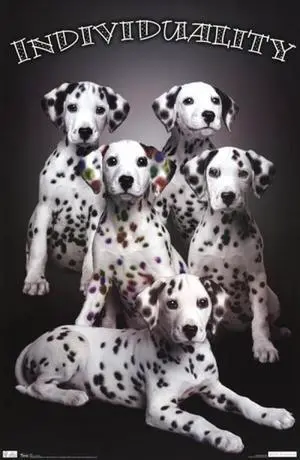 Puppy - Individuality Poster Print (24 x 36) Puppy - Individuality Poster Print (24 x 36)