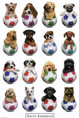 Puppy - Sports Poster Print (24 x 36) Puppy - Sports Poster Print (24 x 36)