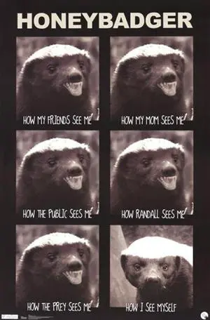 Honey Badger - See Me Poster Print (24 x 36) Honey Badger - See Me Poster Print (24 x 36)