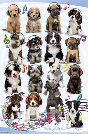 Puppy - Headphones Poster Print (22 x 34) Puppy - Headphones Poster Print (22 x 34)