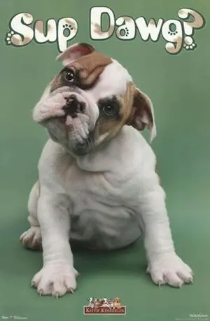 Puppy - Sup Dawg Poster Print (24 x 36) Puppy - Sup Dawg Poster Print (24 x 36)