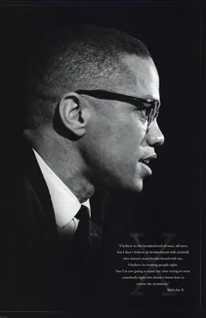 Malcolm X (Brotherhood) Poster Print (24 x 36) Malcolm X (Brotherhood) Poster Print (24 x 36)