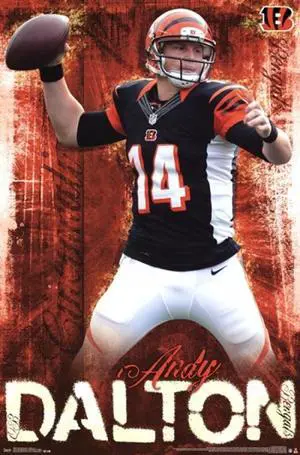 Cincinnati Bengals - Andy Dalton 2013 Poster Print (22 x 34) Cincinnati Bengals - Andy Dalton 2013 Poster Print (22 x 34)
