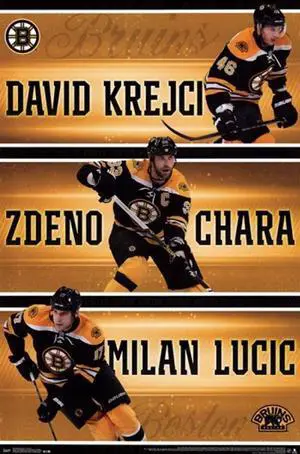 Boston Bruins - Team 2013 Poster Print (24 x 36) Boston Bruins - Team 2013 Poster Print (24 x 36)