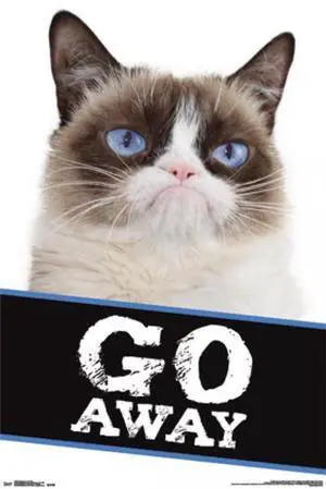 Grumpy Cat - Go Away Poster Print (22 x 34) Grumpy Cat - Go Away Poster Print (22 x 34)